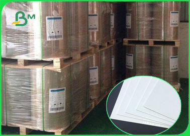 210gsm 250gsm 300gsm High density White SBB Paperboard For paper cup