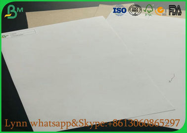 Wood Pulp Coated Duplex Board , Different Type Duplex Board White Back