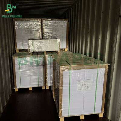 240gsm 260gsm White Printable Cupp1s Paper For Making Cups 700mm 800mm