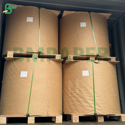300gsm 330gsm 350gsm Greaseproof Food Grade High Stiffness Foodpack Greaseproof Cardboard Fried Food Packaging Box