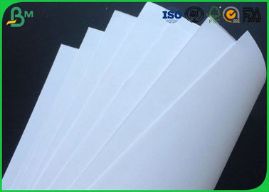 40g , 45g , 50g , 55g , 60g , 80g , 100g , 120g , 130g  White Kraft Paper Or Roll