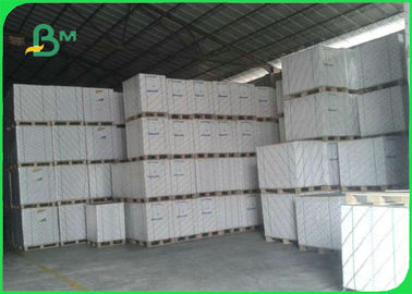 400gsm 600gsm Double Side Coated Duplex Board White Back For Packing 70*100cm