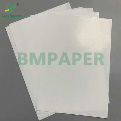 Smooth Good Printability 75gsm 80gsm C1S Glossy Coated Paper For Self-adhesive Labels