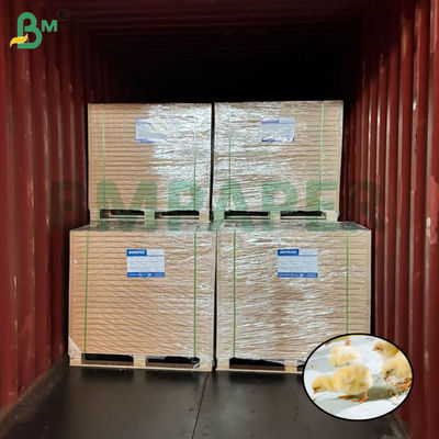 White Chick Rearing Paper Chicken Paper For Poultry Farming 66cm 100cm