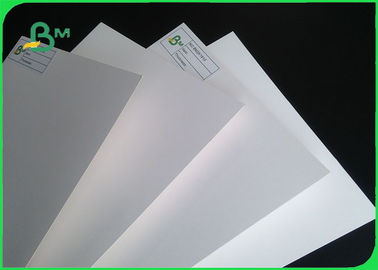 230gsm - 400gsm FSC Certification C1S Coated Paper Ivory Board Paper In Jumbo Roll