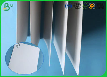FSC Certificted 200g 250g 300g 350g 400g 450g Glossy FBB Board For Packing Boxes