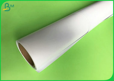 FSC Certificated 190gsm 200gsm 250gsm 300gsm High Glossy Art Paper / Printing Inkjet Photo Paper Rolls