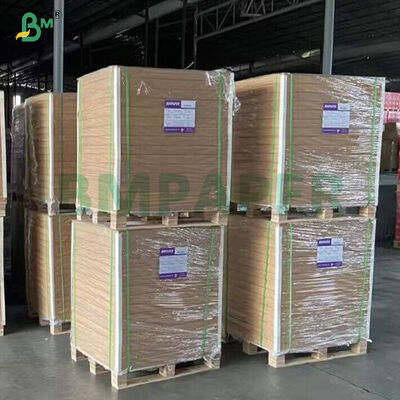 High Printability Single PE Coated Paper For Takeaway Beverage Hot Cold Drink Paper Cup