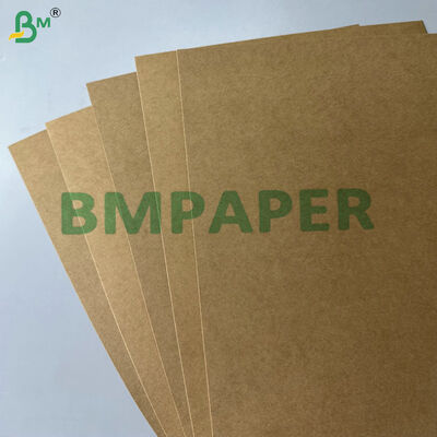 Grease & Leakproof PE PP Coated 300–330gsmFood Container Paperboard for Takeaway Boxes Trays & Lunch Box Production