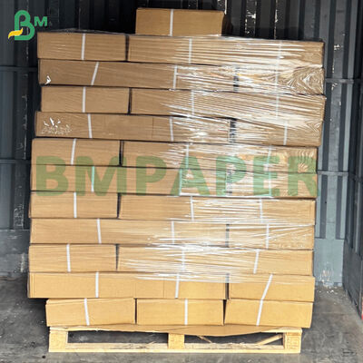 80gsm CAD Plotter Paper Rolls Perfect for Detailed Design Layouts