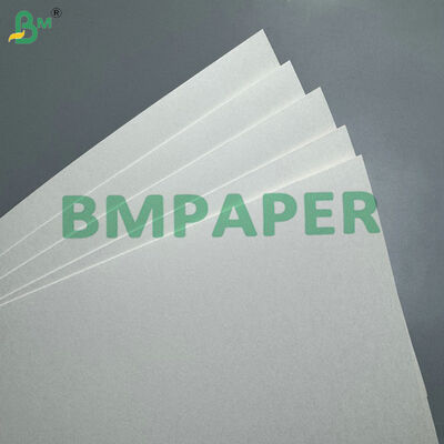 Food-Grade 170-320gsm Cup Stock Paper Extruded with PE 15 MIC  for Disposable Coffee Cups