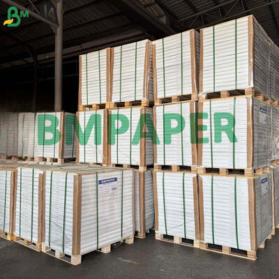 C1S Glossy Paper for Tea Bag Outer Envelope / Tea Sachet Outer Wrapper