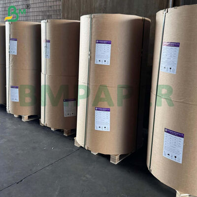 42gsm Two Side Silicone Coated Food Grade Baking Paper Rolls
