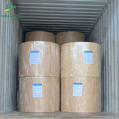 Food Grade One Side Coated White Paper Roll 210gsm + 15g PE for Coffee Cup