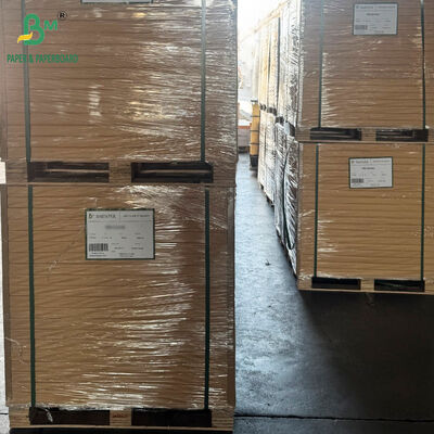 Lunch Food Container 300gr 325gr 350gr Biodegradable Sugarcane Bagasse Paper
