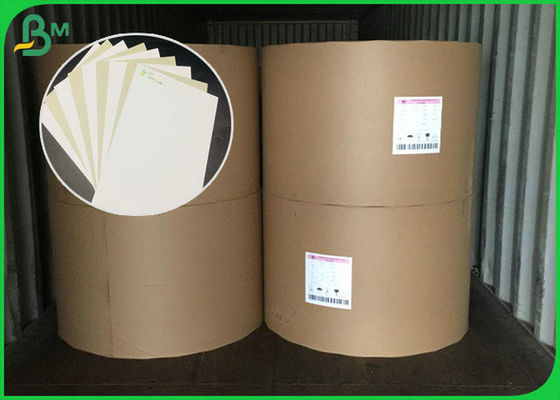 Recycled Pulp 230GSM 250GSM Coated Duplex Board Customized Size