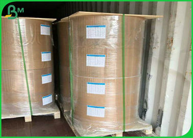 135gsm 160gsm PE Coated Paper , Glossy Coated Paper For Lunch Food Packaging Boxes