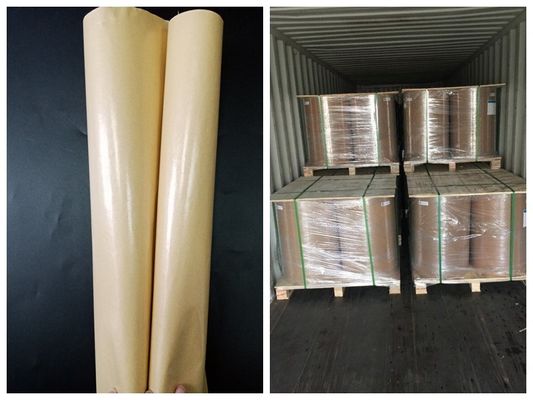 One Side PE Coated Food Grade Paper Roll For Lunch Box  FDA Certificated