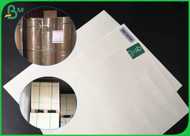 Waterproof 100gsm 120gsm 140gsm 160gsm Glossy PE Coated Paper For Food Packages