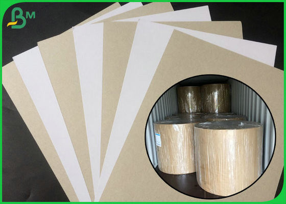 Coated Duplex Board White Side With Grey Back In Large Roll Packing