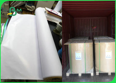 PE Coating Woodfree Offset Paper 70g + 20g PE For Packing Meat Food Grade