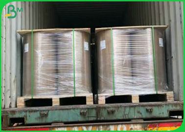 80gsm 100gsm 150gsm 250gsm 300gsm Anti Oil C1S PE Coated Paper Rolls Cup Paper