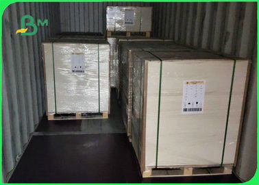 High Thickness 15g PE Coating 300gsm 320gsm 350gsm Ivory Board For Packing Food