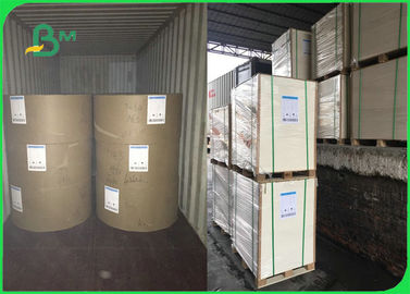 High Bulk Ecofriendly GC1 FBB Ivory Board Paper For Box Packing 250gsm - 300gsm