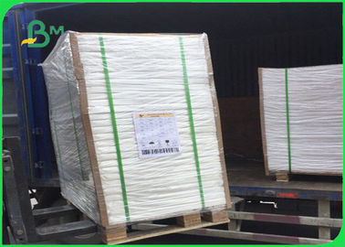 300g C1S Coated Board Coated 15g Poly 700 * 1000mm For Chips Packing Box