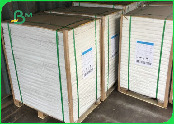 C1S Ivory Board Poly Coated Paper 300gsm + 15g PE 70 X 100cm For Cup Making