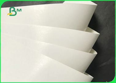 210gsm 230gsm 250gsm 64 * 88cm Coated Ivory Board For Cigarette Wrapping Box