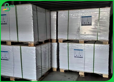 70lb 80lb White Offset Printing Paper Roll For Book