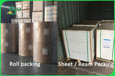 100% Virgin Pulp Biodegradable Uncoated Paper Cup Material 170 - 300gsm FDA