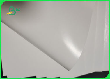 250gsm 300gsm PE Coating White Paper Board For Pizza Boxes Waterproof