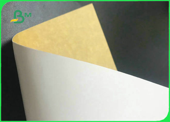 Environmental Friendly White Top Kraft Back 250gsm - 360gsm For Food Packages