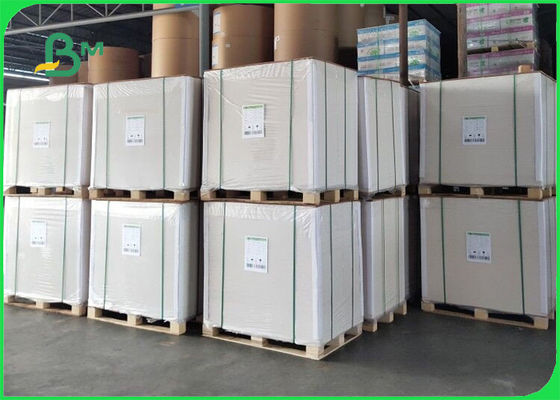 FDA Waterproof Paper PE Coated Woodfree Paper For Food Packaging Industry