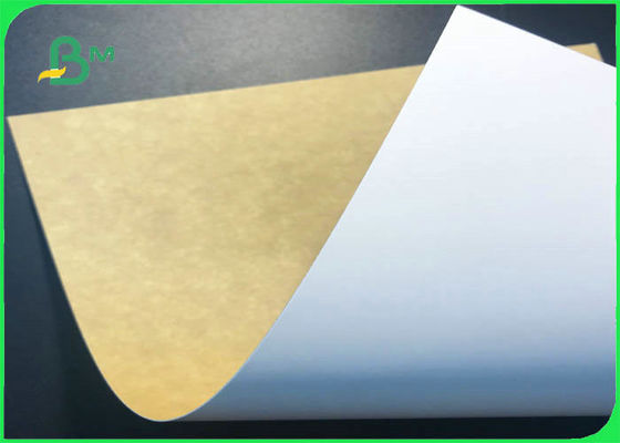 200gsm - 350gsm Environmental White Top Kraft Liner For Food Packing