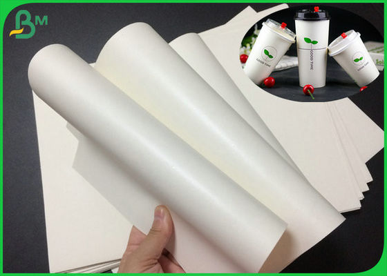 Waterproof 190g 210g Cardboard Cup Paper Foodgrade For Paper Cup Raw Material