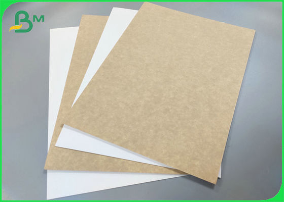 High Strength Food Grade Paper 325g 365g White Coated Brown Kraft Board For Bread Box