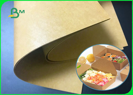 Biodegradable 300gsm + 15g PE Film Kraft Board For Food Packaging