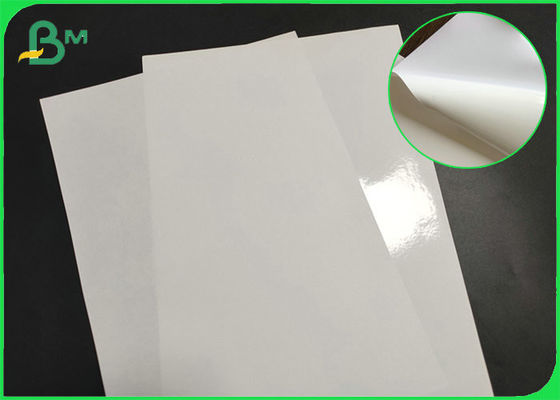 Water Proof Good Stiffness Semi Gloss Paper Rolls For Making Degradable Sticker Labels