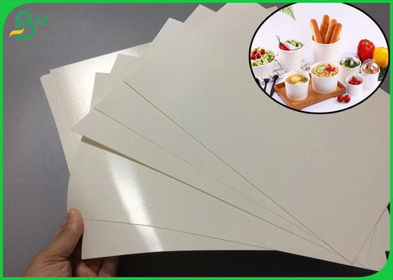 1 Side Waterproof 240gsm + 15gr PE High Whiteness PE Coated Paper For Paper Bowl