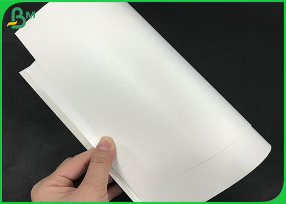 Strong Waterproof 245gsm white kraft + 15g PE Film Coated Paper For Coffee Paper Cup