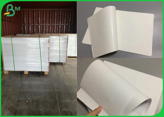 100% Biodegradable And Durable White Kraft Food Grade Paper Roll For Surger Packaging