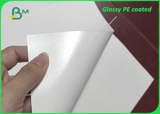 Glossy Single Side PE Film Coated Paper 280g + 15g PE For Paper Cups