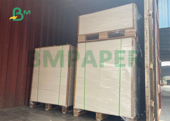 300gsm 350gsm Food Grade 1 Side PE Coated Paper Board  For Disposable Paper Bowl