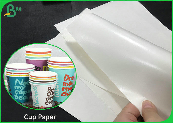 230 Gsm + 15gsm PE Coated Waterproof White Kraft Paper For Paper Cup