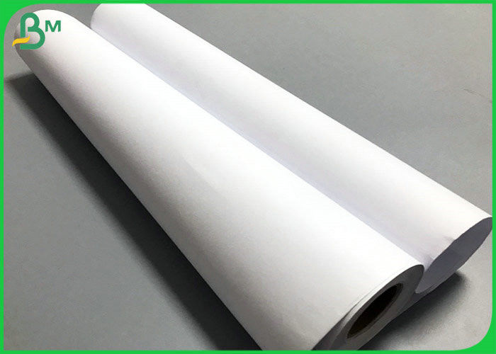 24 inch * 50 Yards Plain Graph CAD Plotter Paper 80gr 20LB White Bond