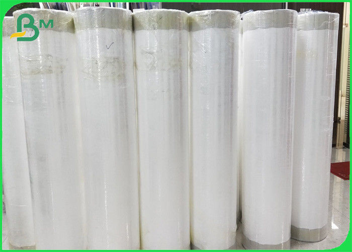 Waterproof 10256D 1082D Dupont Tyvek Paper Roll For Making Bags