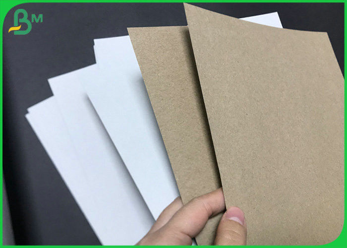 Recyclable 140gsm 170gsm White Clay Coated Kraft Back Board For Paper